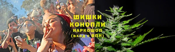 шишки Нея