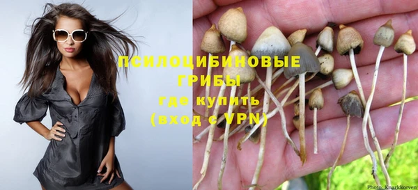 тгк Аркадак