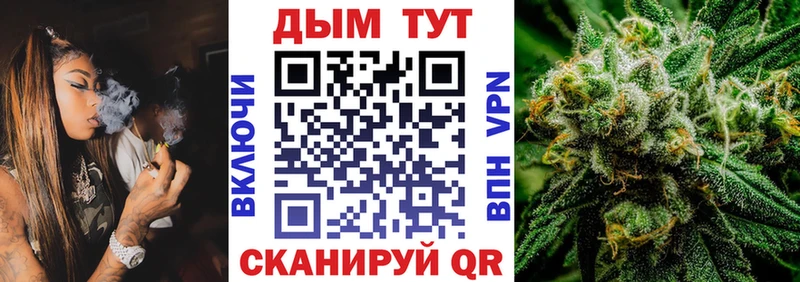 blacksprut как войти  Болохово  Бошки марихуана ГИДРОПОН 